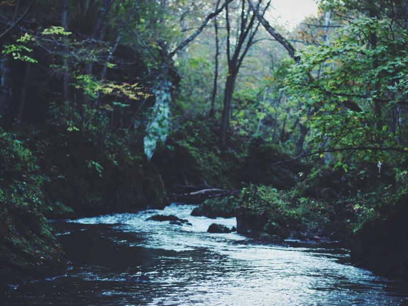 Photo of related produce item